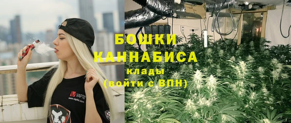 ALPHA PVP Сосновый Бор