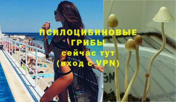 винт Сосновоборск
