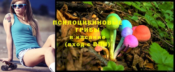 хмурый Алзамай