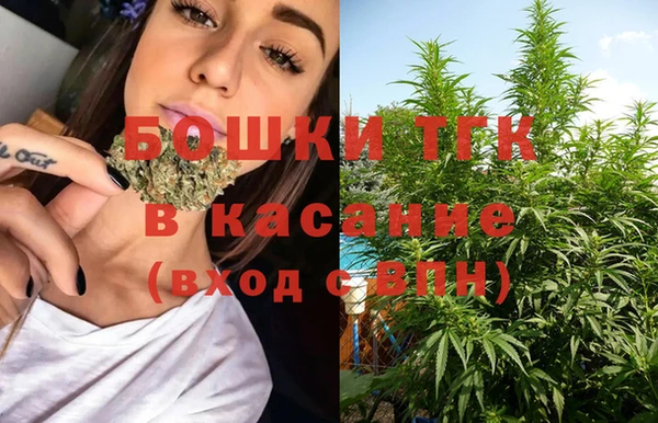 мдпв Сосновка
