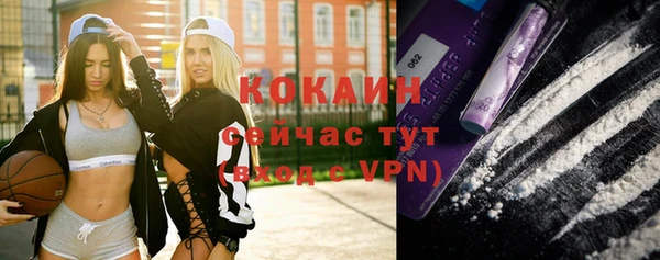 мдпв Сосновка