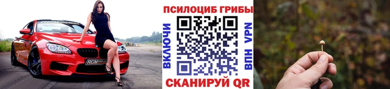 сколько стоит  Яранск  Галлюциногенные грибы мухоморы 